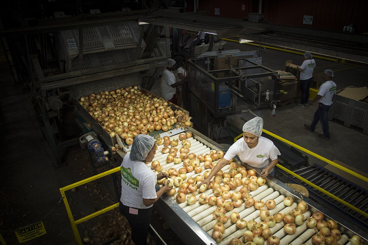 Workers processing food at a production facility